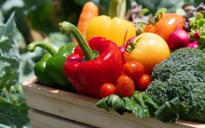 Boost Your Menu with High-Quality Frozen Vegetables