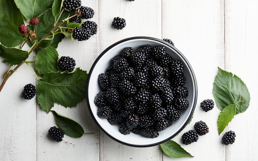The Nutritional Powerhouse: Exploring the Benefits of Blackberries